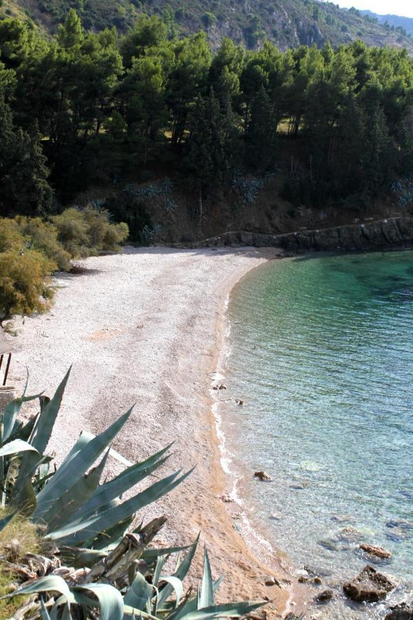 Apartments By The Sea Komiza, Vis - 8533 Εξωτερικό φωτογραφία